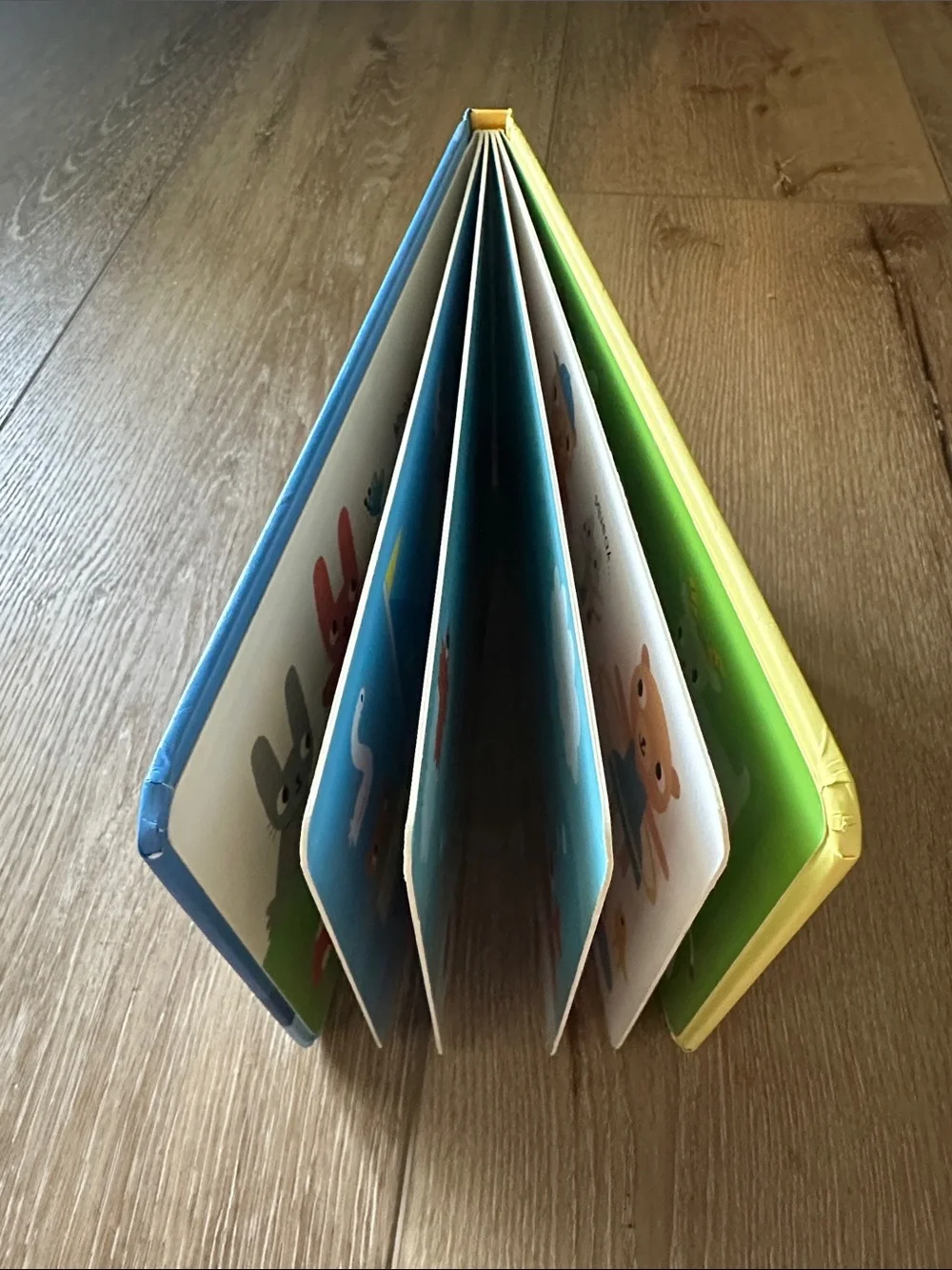 Usborne Who's Fallen Asleep? Board Book - Blue